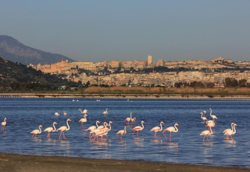 Stupenda Suite A Cagliari Piazza Galilei Exterior foto